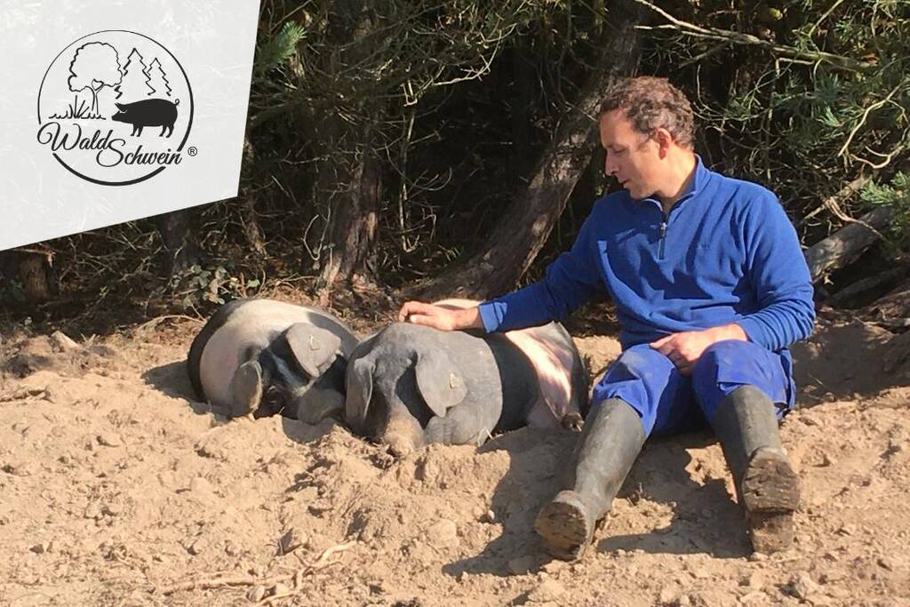 oekologische-landwirtschaft-muenchen-zu-tisch-waldschwein-logo